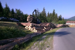 Sortimenty vytriedené na sklade podľa kvalitatívnych tried