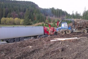 Po vyťažení guľatiny nasledovalo zvážanie haluziny spojené s jej štiepkovaním