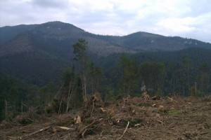 Pohľad na protiľahlú stranu Suchej doliny – Omáleník (PSU L. Trnovec)