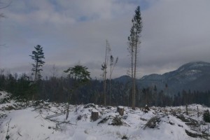 Na pozadí vpravo Holé Žiare, v strede pod mrakom šlôgy vo Valachovej nohavici