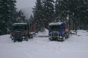 Nakoniec sme sa predsa dostali k drevu