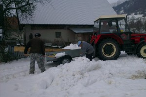 Pracovníci pri nakladaní snehu na vlečku, použitého na naplnenie snehovej jamy slúžiacej pre dočasné uskladnenie sadeníc