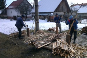 Výroba drevených kolíkov, ktoré budú použité pre jednoduchšie nájdenie stromčekov v zaburinených plochách