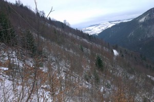 Javorovo spod hrebeňa v zime, v pozadí obec Malatiná