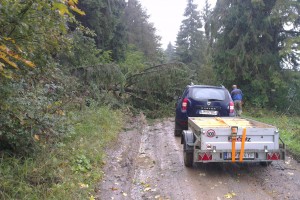 Škody spojené s príchodom prvého ťažkého snehu