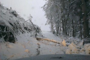 Škody spojené s príchodom prvého ťažkého snehu