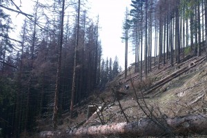 Spracovanie suchárov vo Valachovej nohavici