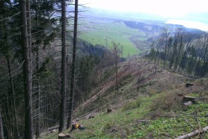 Spracovanie suchárov na hrebeni v Sestrči