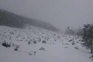 Záber na krmelec umiestnený na Holých Žiaroch